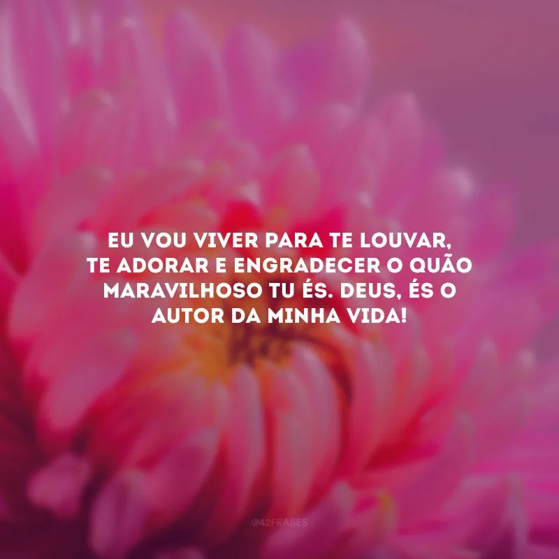 Eu vou viver para te louvar, te adorar e engradecer o quão maravilhoso Tu és. Deus, és o autor da minha vida!