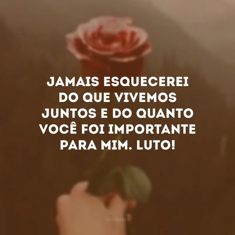 Jamais esquecerei do que vivemos juntos e do quanto você foi importante para mim. Luto!