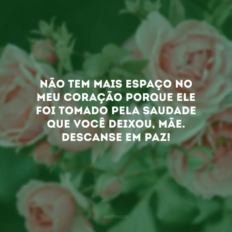 Não tem mais espaço no meu coração porque ele foi tomado pela saudade que você deixou, mãe. Descanse em paz!