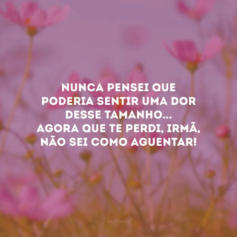 Nunca pensei que poderia sentir uma dor desse tamanho... Agora que te perdi, irmã, não sei como aguentar!