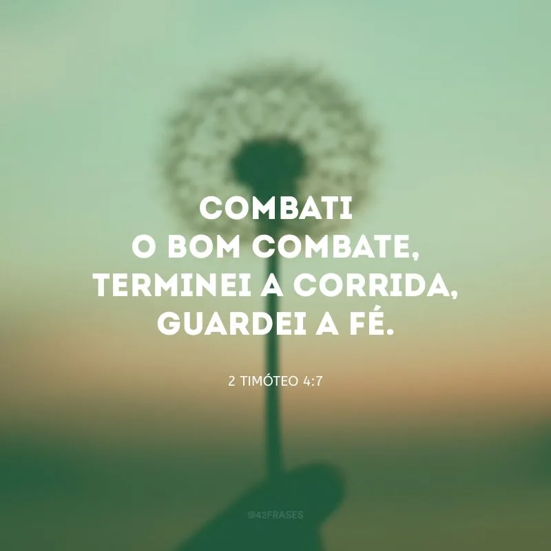 Combati o bom combate, terminei a corrida, guardei a fé.