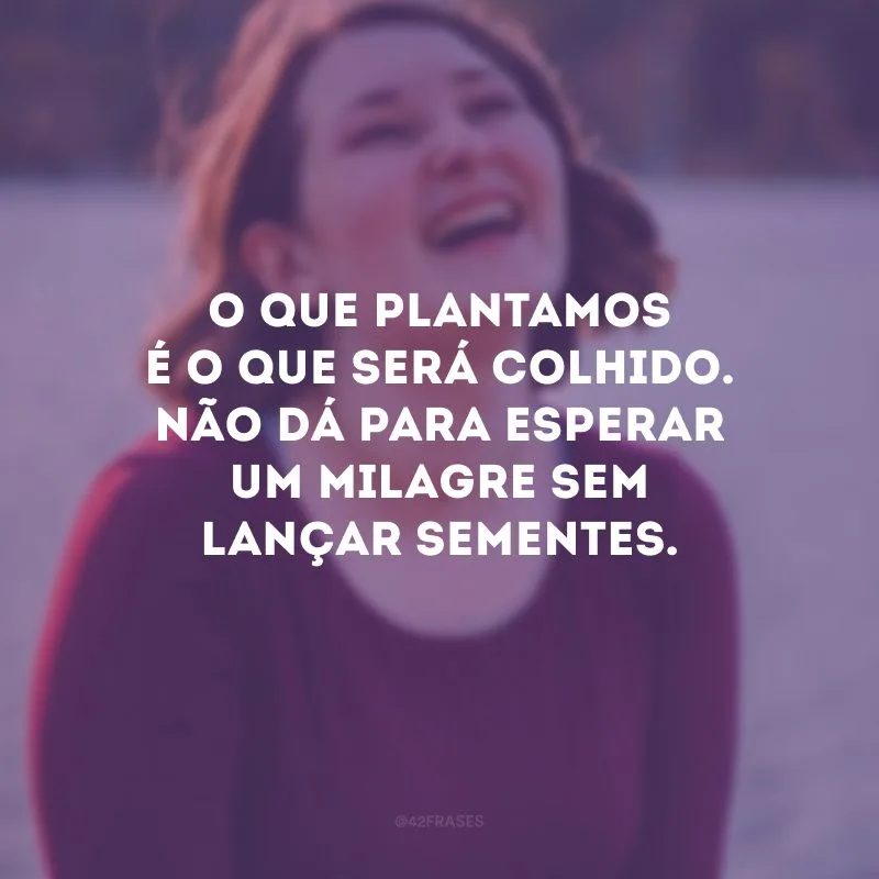 O que plantamos é o que será colhido. Não dá para esperar um milagre sem lançar sementes.