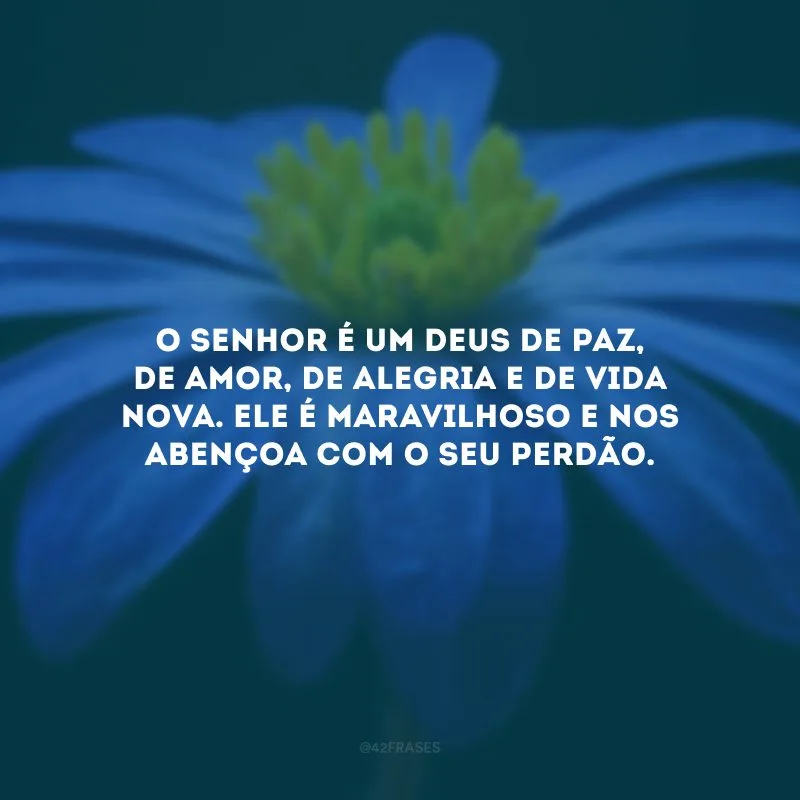 O Senhor é um Deus de paz, de amor, de alegria e de vida nova. Ele é maravilhoso e nos abençoa com o Seu perdão.