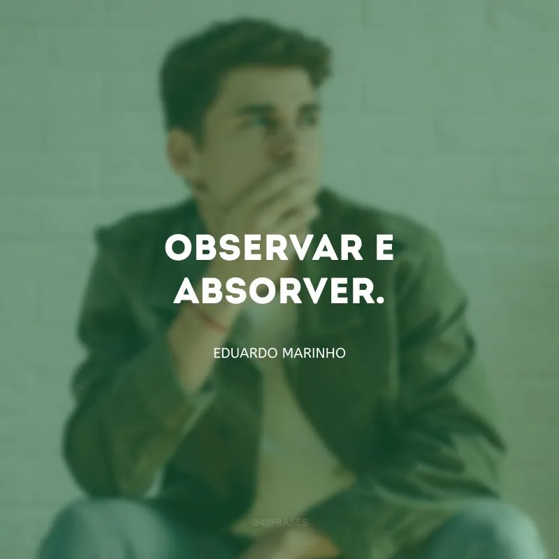 Observar e absorver.