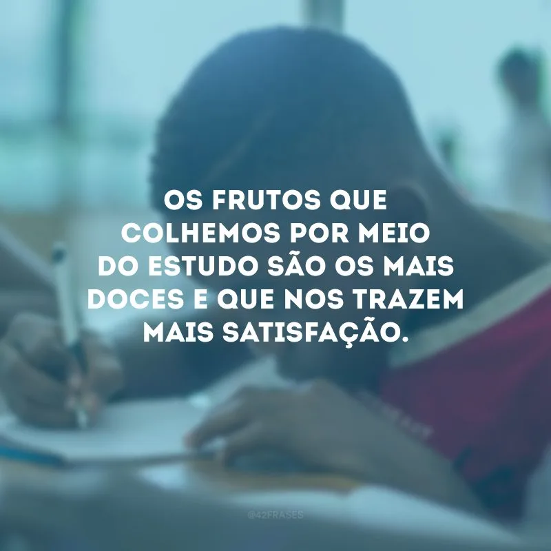 Os frutos que colhemos por meio do estudo são os mais doces e que nos trazem mais satisfação.
