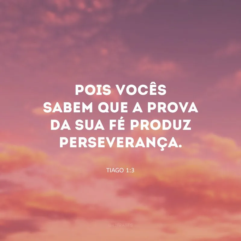 Pois vocês sabem que a prova da sua fé produz perseverança.
