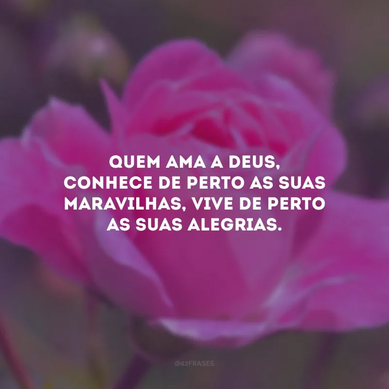 Quem ama a Deus, conhece de perto as Suas maravilhas, vive de perto as Suas alegrias.