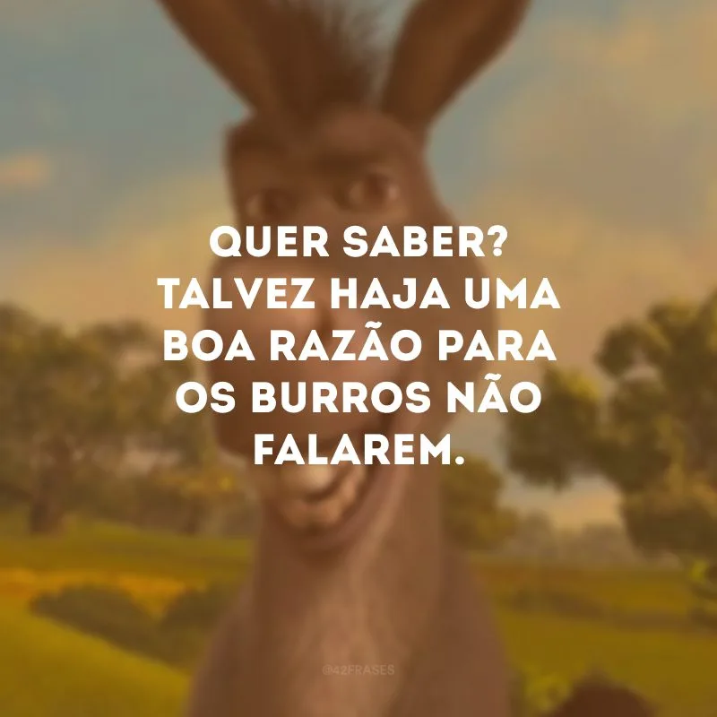 Quer saber? Talvez haja uma boa razão para os burros não falarem.