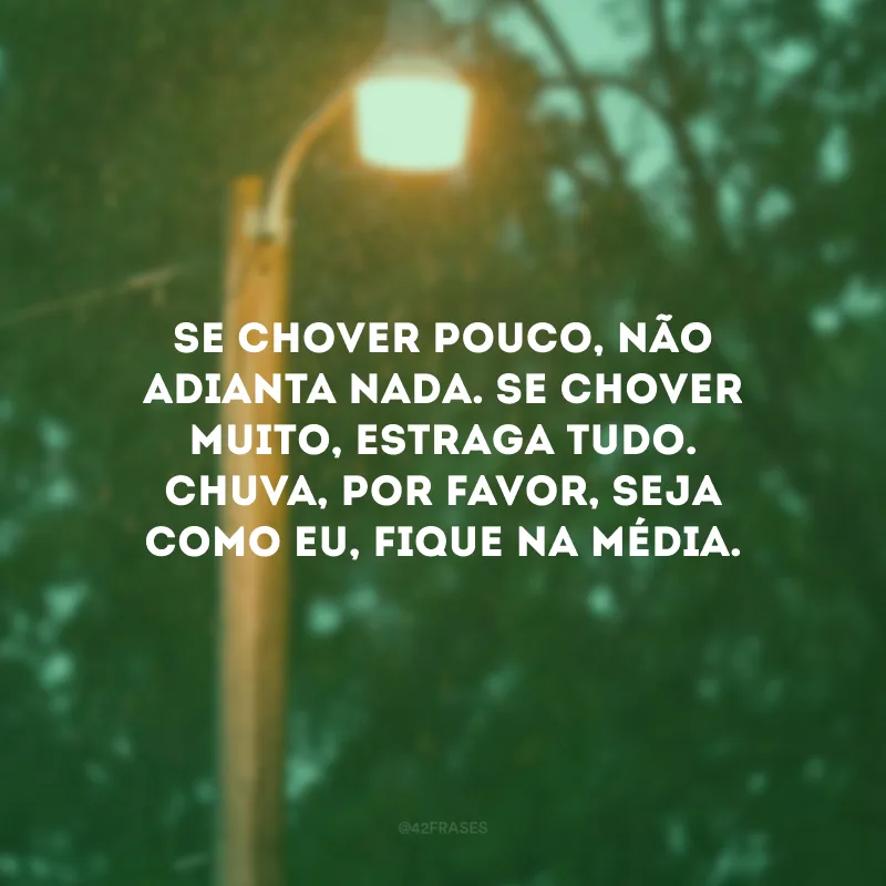 Se chover pouco, não adianta nada. Se chover muito, estraga tudo. Chuva, por favor, seja como eu, fique na média.
