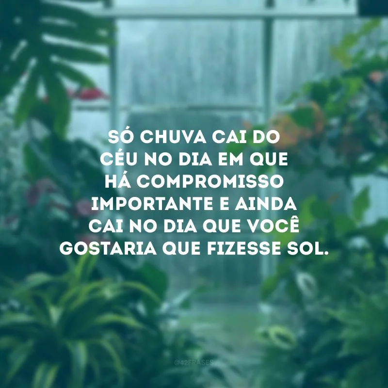 Só chuva cai do céu no dia em que há compromisso importante e ainda cai no dia que você gostaria que fizesse sol.