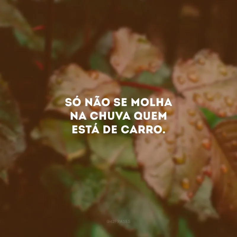 Só não se molha na chuva quem está de carro.