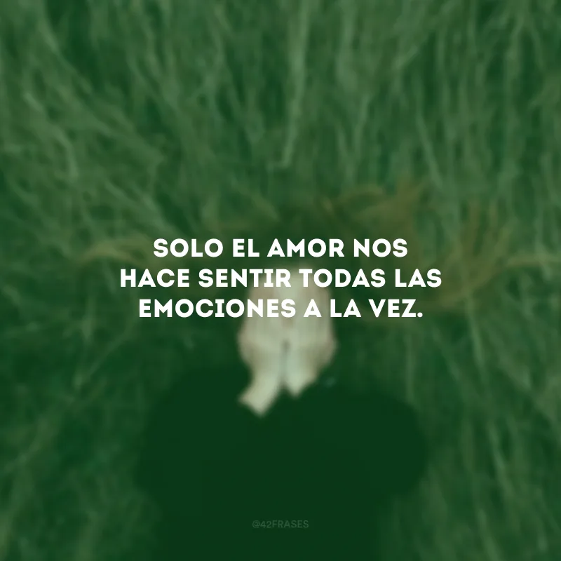 Solo el amor nos hace sentir todas las emociones a la vez. (Somente o amor nos faz sentir todas as emoções de uma vez.)