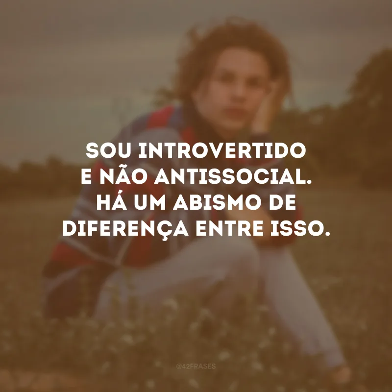 Sou introvertido e não antissocial. Há um abismo de diferença entre isso. 