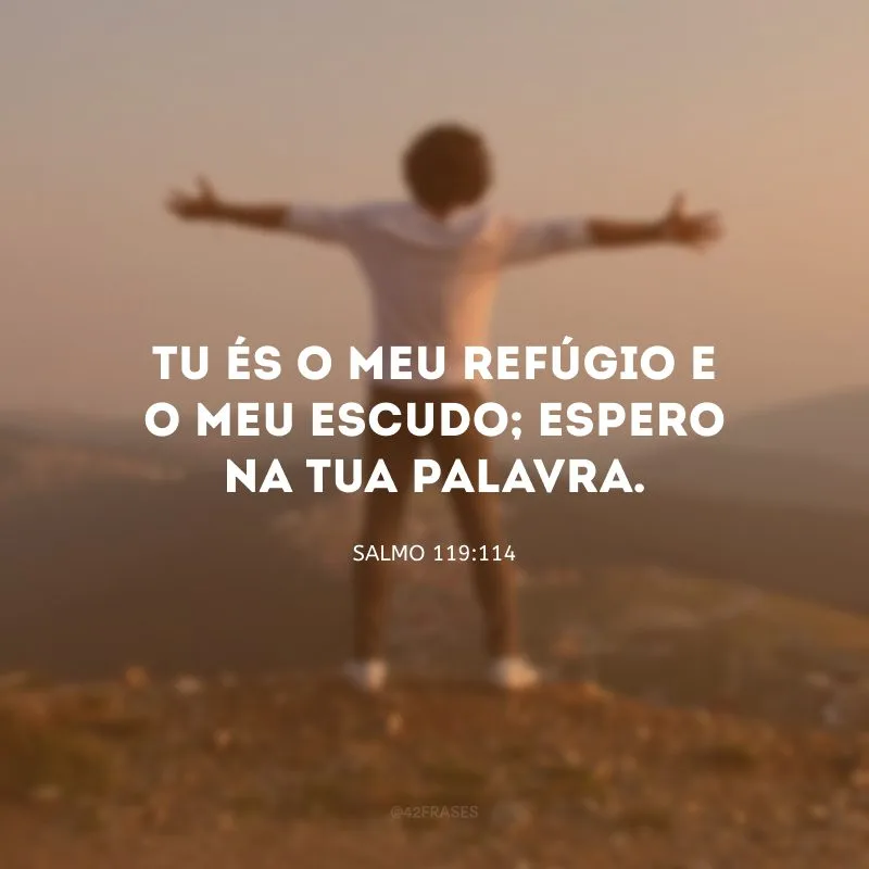 Tu és o meu refúgio e o meu escudo; espero na tua palavra.