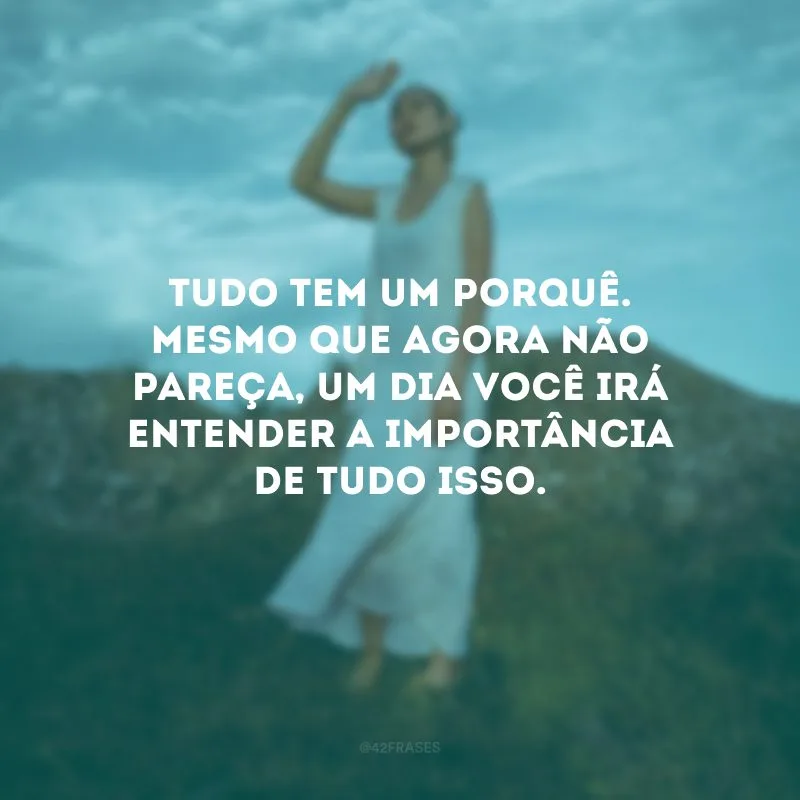 Tudo tem um porquê. Mesmo que agora não pareça, um dia você irá entender a importância de tudo isso. 