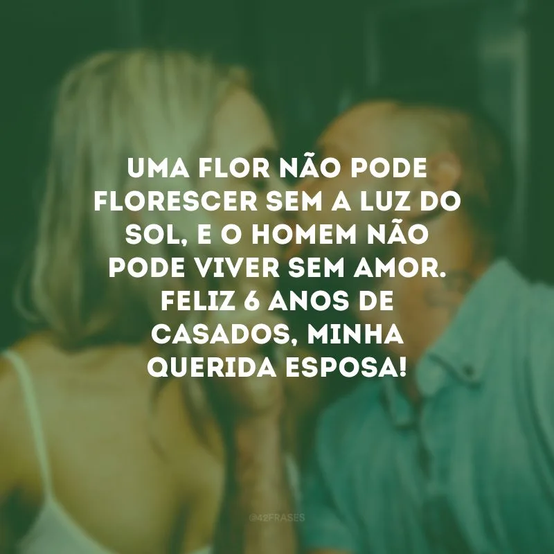 Uma flor não pode florescer sem a luz do sol, e o homem não pode viver sem amor. Feliz 6 anos de casados, minha querida esposa!