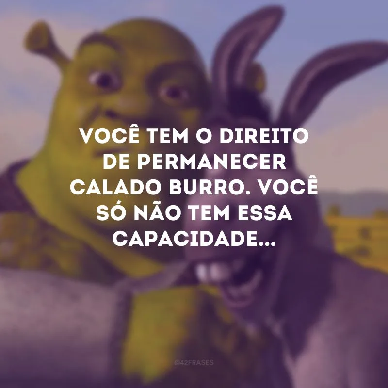 Você tem o direito de permanecer calado Burro. Você só não tem essa capacidade...
