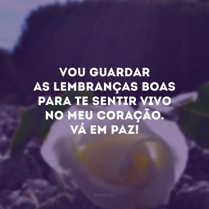 Vou guardar as lembranças boas para te sentir vivo no meu coração. Vá em paz!
