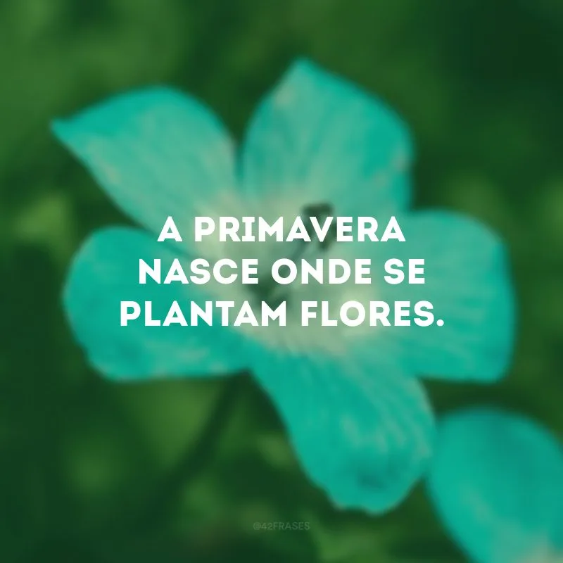 A primavera nasce onde se plantam flores.