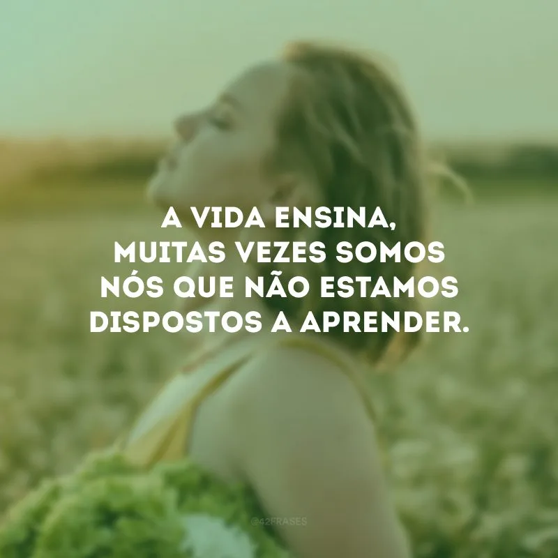 A vida ensina, muitas vezes somos nós que não estamos dispostos a aprender.