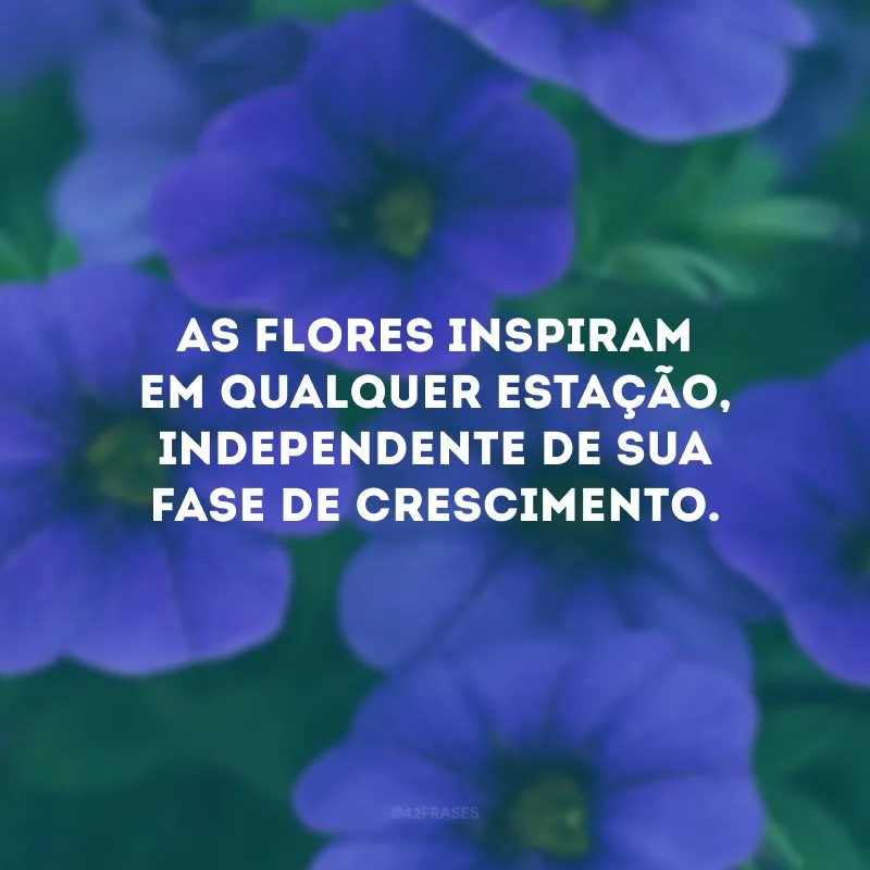 As flores inspiram em qualquer estação, independente de sua fase de crescimento.