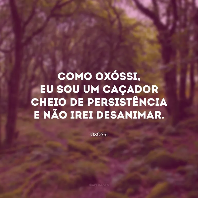 Como Oxóssi, eu sou um caçador cheio de persistência e não irei desanimar.