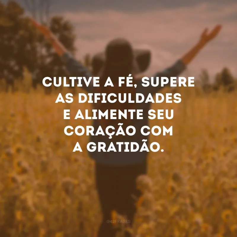 Cultive a fé, supere as dificuldades e alimente seu coração com a gratidão.