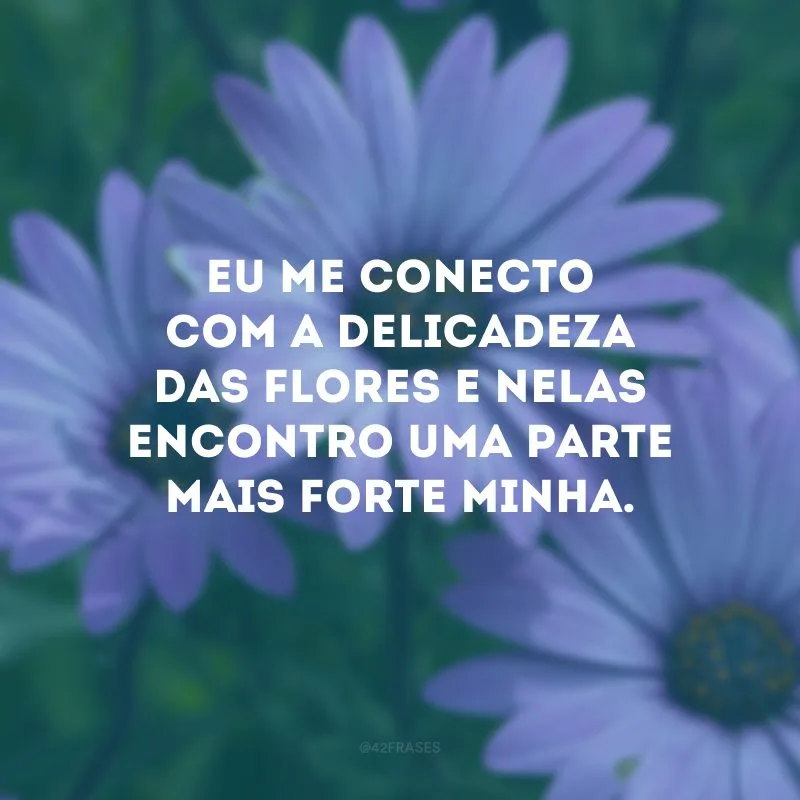 Eu me conecto com a delicadeza das flores e nelas encontro uma parte mais forte minha.