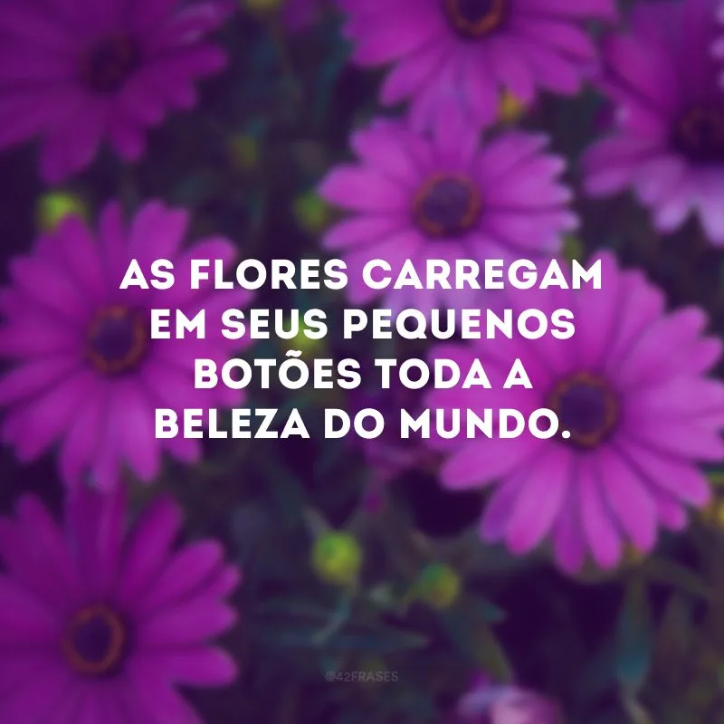 As flores carregam em seus pequenos botões toda a beleza do mundo.