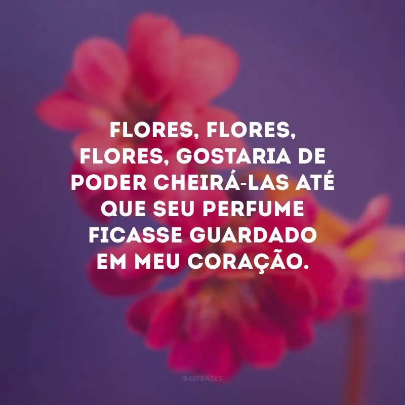 Flores, flores, flores, gostaria de poder cheirá-las até que seu perfume ficasse guardado em meu coração.