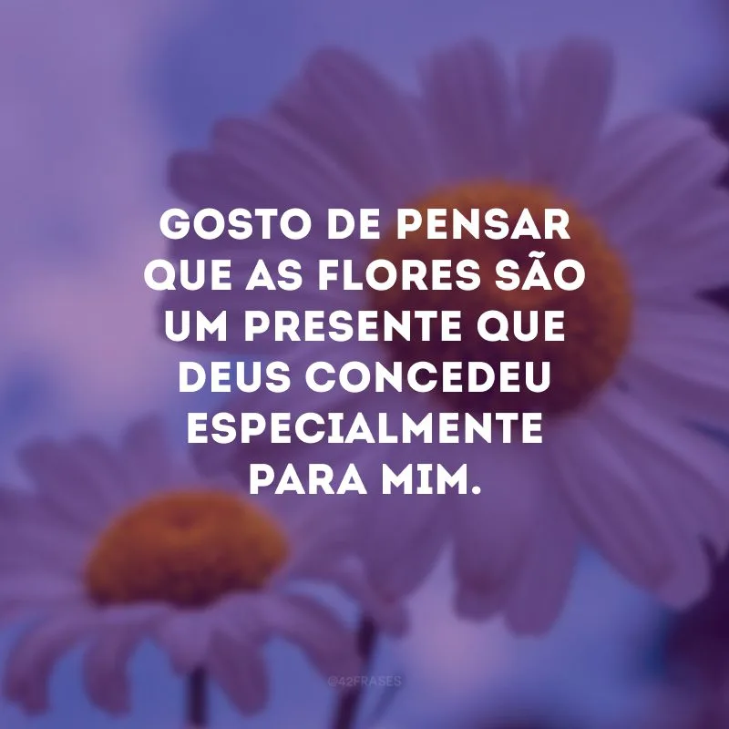 Gosto de pensar que as flores são um presente que Deus concedeu especialmente para mim.