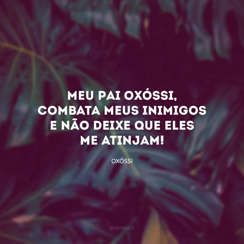 Meu Pai Oxóssi, combata meus inimigos e não deixe que eles me atinjam!