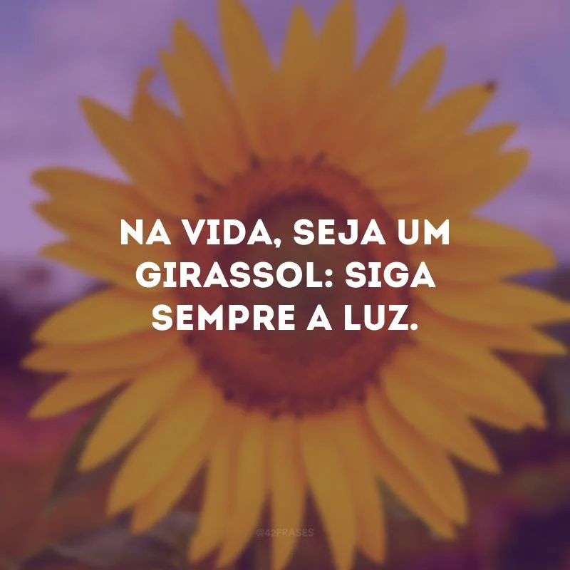 Na vida, seja um girassol: siga sempre a luz.