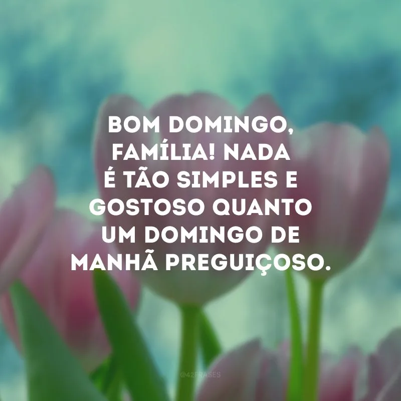 Bom domingo, família! Nada é tão simples e gostoso quanto um domingo de manhã preguiçoso. 