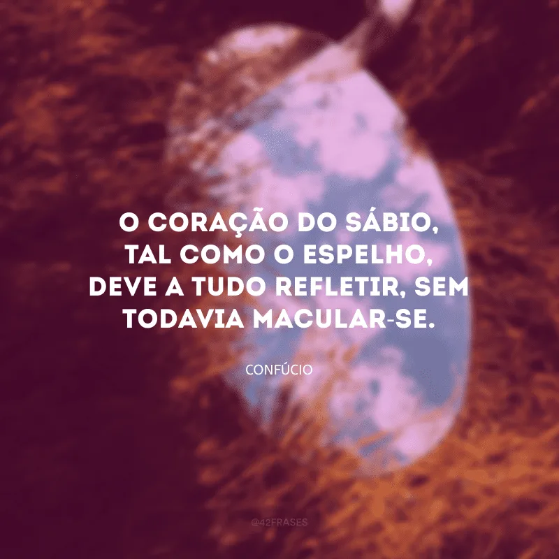 O coração do sábio, tal como o espelho, deve a tudo refletir, sem todavia macular-se.