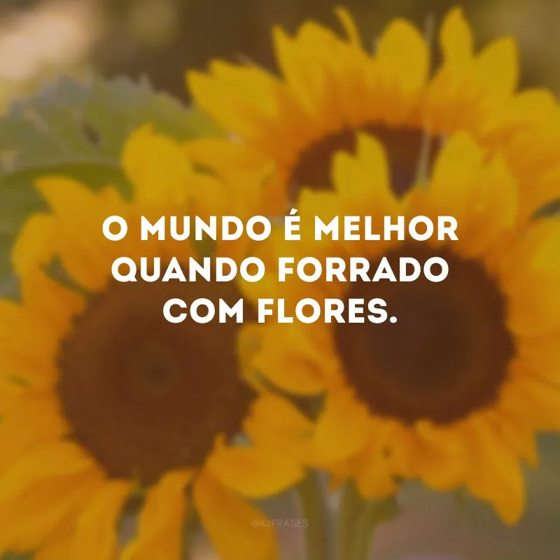 O mundo é melhor quando forrado com flores.