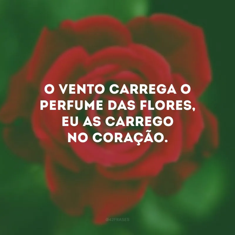 O vento carrega o perfume das flores, eu as carrego no coração.