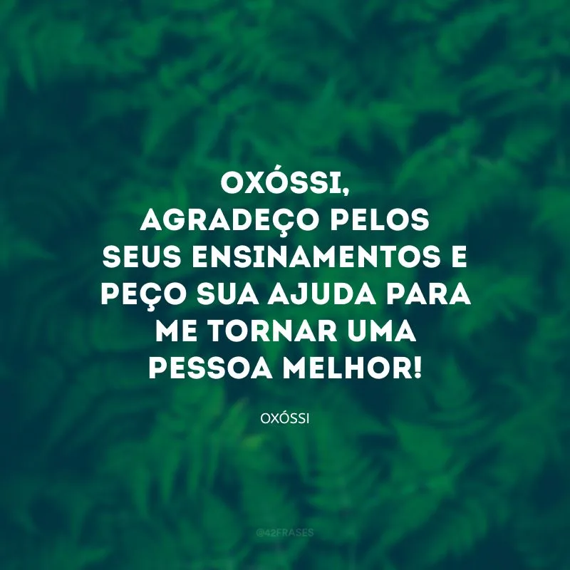 Oxóssi, agradeço pelos seus ensinamentos e peço sua ajuda para me tornar uma pessoa melhor!