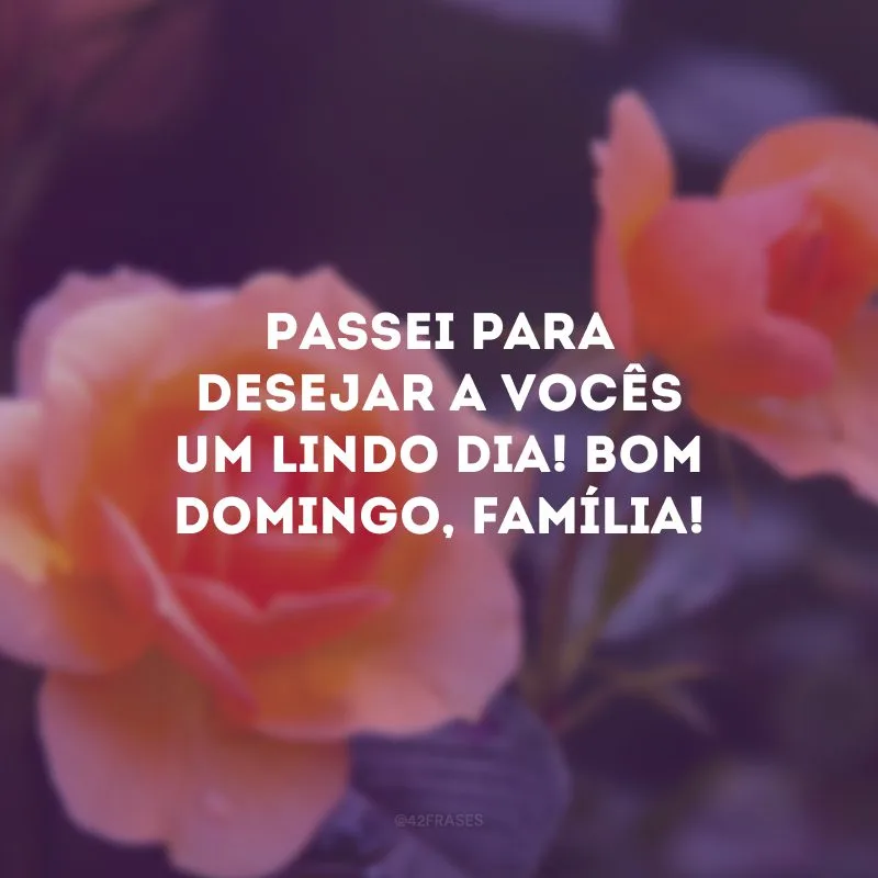 Passei para desejar a vocês um lindo dia! Bom domingo, família! 