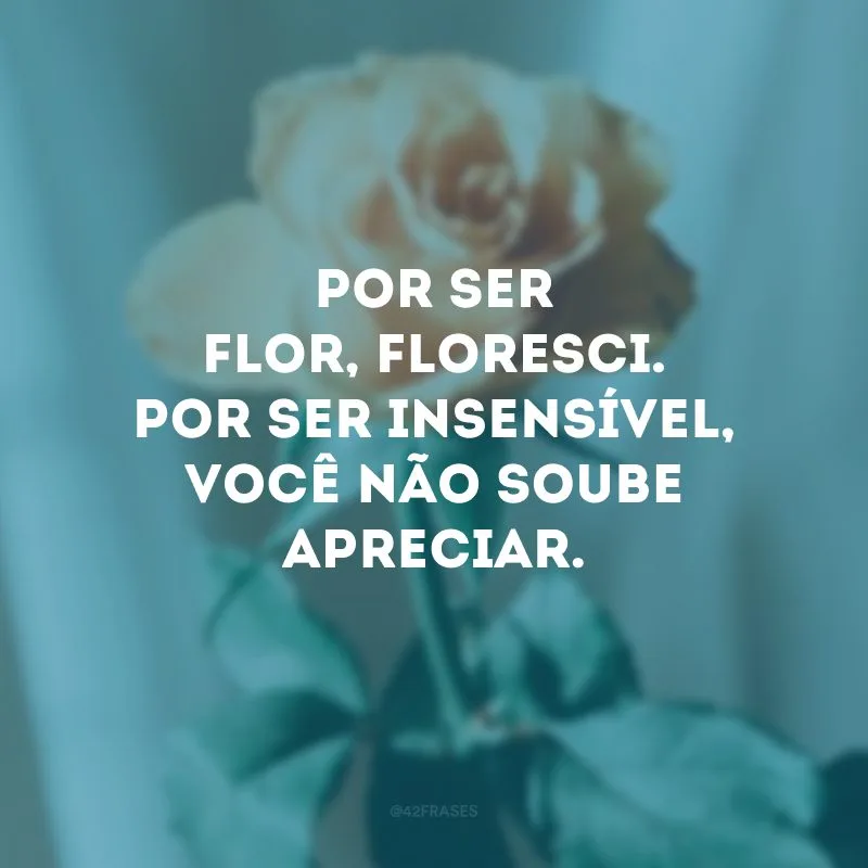 Por ser flor, floresci. Por ser insensível, você não soube apreciar.