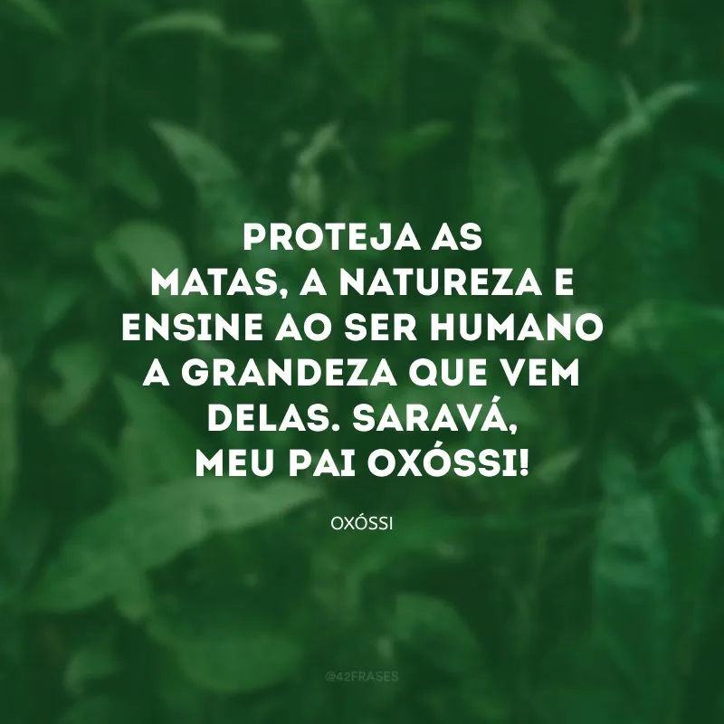 Proteja as matas, a natureza e ensine ao ser humano a grandeza que vem delas. Saravá, meu Pai Oxóssi!