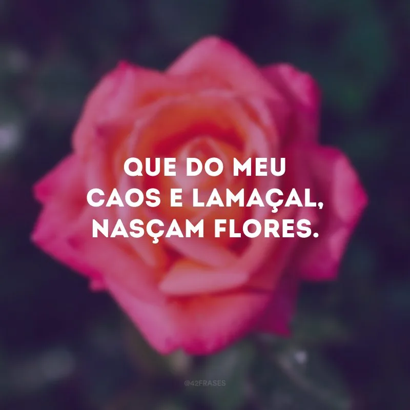 Que do meu caos e lamaçal, nasçam flores.
