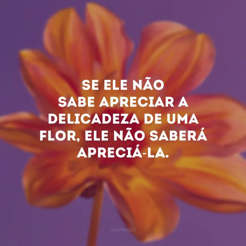 Se ele não sabe apreciar a delicadeza de uma flor, ele não saberá apreciá-la.