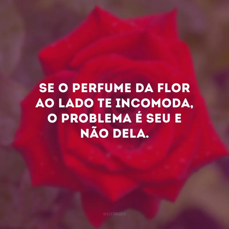 Se o perfume da flor ao lado te incomoda, o problema é seu e não dela.