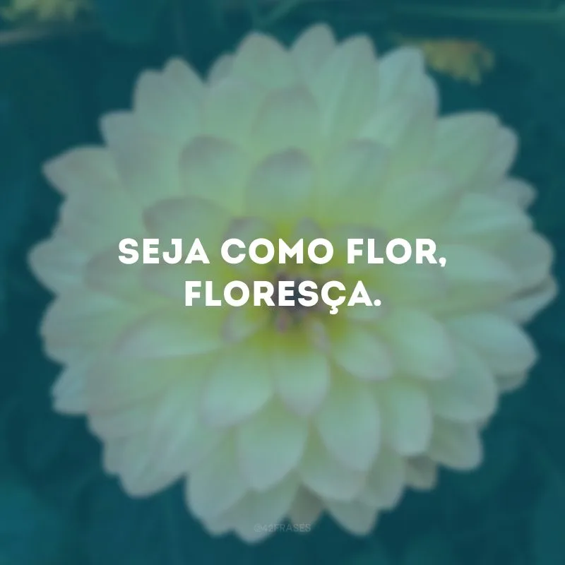 Seja como flor, floresça.