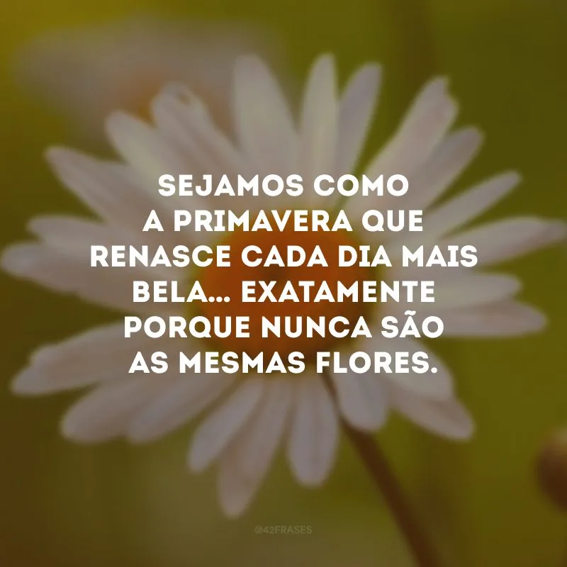 Sejamos como a primavera que renasce cada dia mais bela… Exatamente porque nunca são as mesmas flores.
