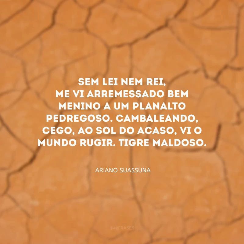 Sem lei nem rei, me vi arremessado bem menino a um planalto pedregoso. Cambaleando, cego, ao sol do acaso, vi o mundo rugir. Tigre maldoso.