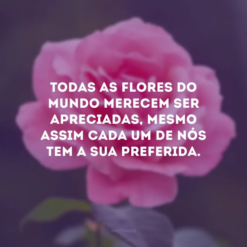 Todas as flores do mundo merecem ser apreciadas, mesmo assim cada um de nós tem a sua preferida.