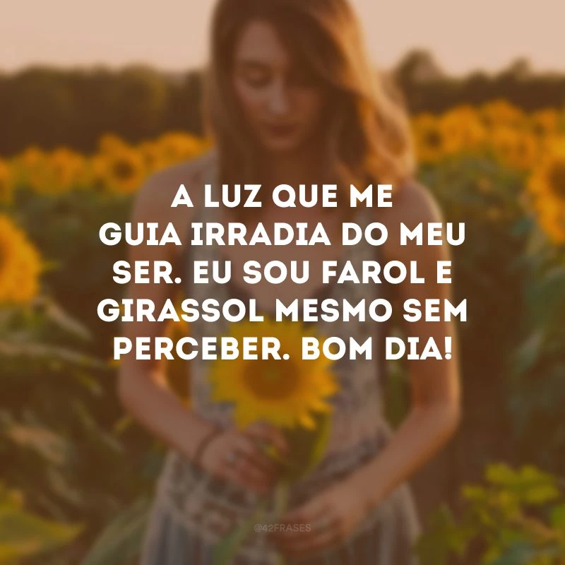A luz que me guia irradia do meu ser. Eu sou farol e girassol mesmo sem perceber. Bom dia!