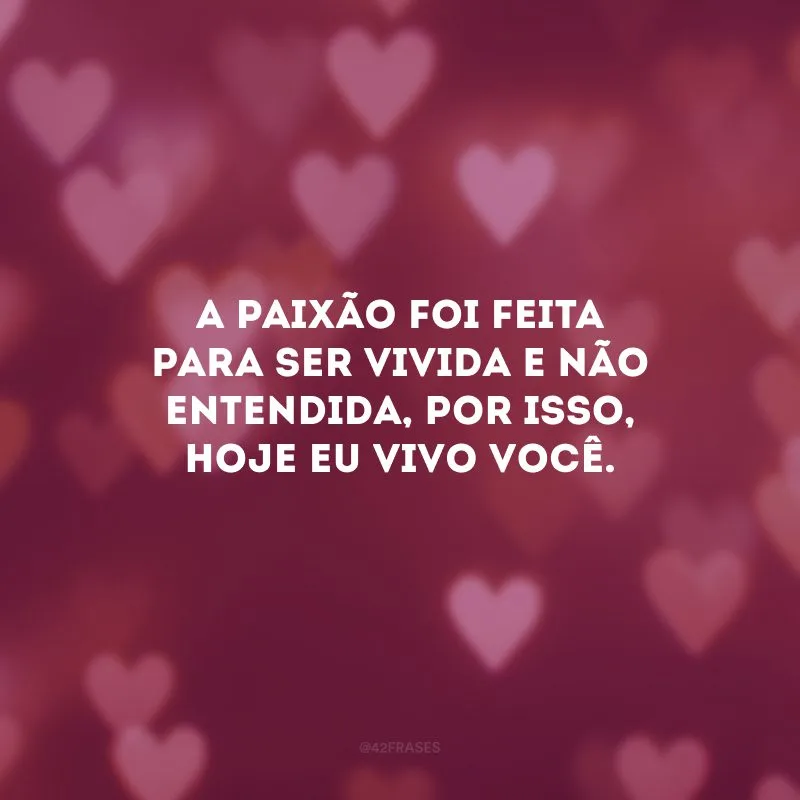A paixão foi feita para ser vivida e não entendida, por isso, hoje eu vivo você.